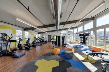 Gym 1
